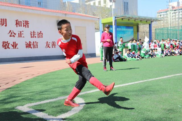 杨易轩新赛季加入维里塔斯学院的正式消息